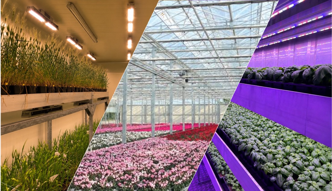 Three controlled-environment farming systems side by side: an indoor vertical farm with LED-lit greens, a glass greenhouse with flowering plants, and a vertical farm with basil under purple LED lights.