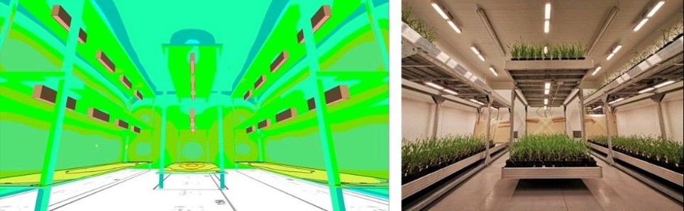 Simulazione CFD della distribuzione dell’aria in una camera di crescita indoor, affiancata alla fotografia dell’impianto reale con sistemi di coltivazione multilivello.